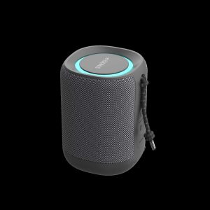 רמקול ESCOLLS C10 W15